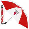 Chicago Bulls Umbrella