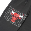 New Era Chicago Bulls Pants ''Black''