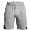 UA Curry Splash Fleece Shorts ''Grey''