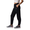 Columbia Trek Sportswear Logo Women's Pants ''Black''