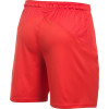 UA Woven 8 ''Red'' shorts