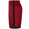 Jordan Shimmer Shorts ''Gym Red''