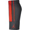 Air Jordan Rise Solid Shorts