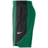 Nike Dry NBA Boston Celtics Practice Shorts