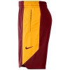 Nike Dry NBA Cleveland Cavaliers Practice Shorts