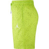 Air Jordan Jumpman Cement Poolside Shorts ''Cyber''