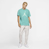 Air Jordan Jumpman T-Shirt ''Tropical Twist''