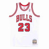 M&N Authentic Chicago Bulls 1995-96 Michael Jordan Jersey ''White''