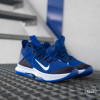 Nike Lebron Witness 4 ''Royal Blue''
