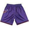 M&N NBA Toronto Raptors Shorts ''Purple''