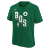 Nike Essentials 3D Print Boston Celtics Kids T-Shirt ''Clover''